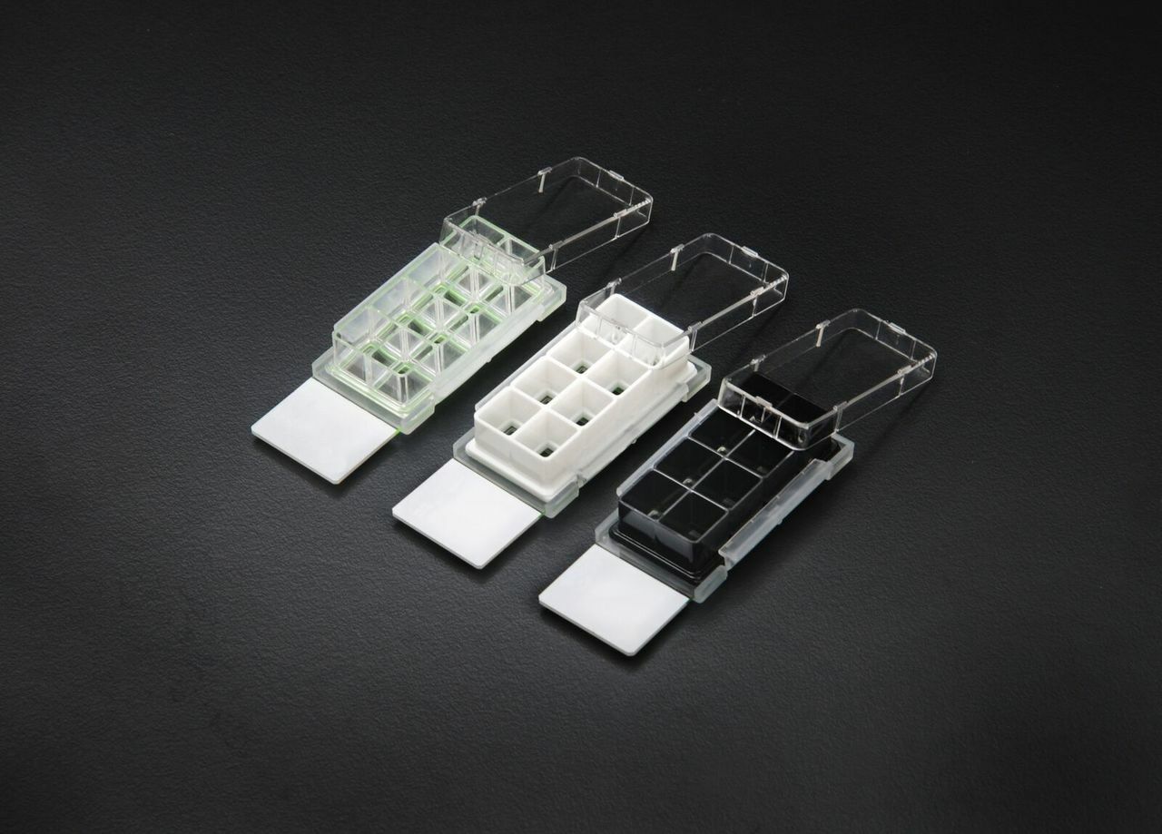 Nest Cell Culture Chamber Slides 8 Well white (230128)