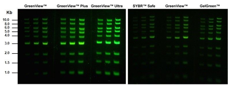 GreenView™ Ultra DNA Gel Stain, 500/530 nm, 500 μL