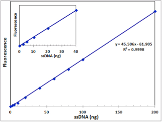 iQuant™ ssDNA Quantitation Kit 1-200 ng 1000 assays