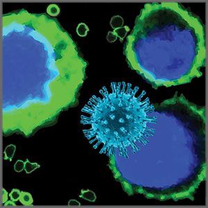 ViroVision™ Rev-A3R5-GFP/Luc HIV Reporter Cells, 1 vial of 5 x 10⁶ cells