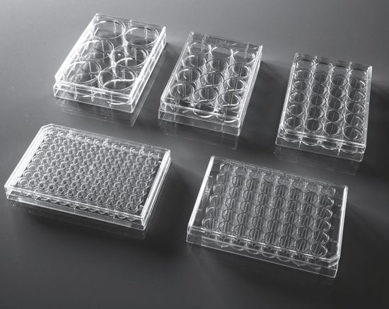 96-well Clear Flat Bottom Polystyrene Not Treated Microplate, 20 per Bag, with Lid, Sterile