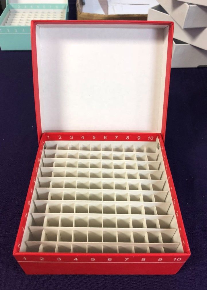 2” Cardboard Boxes with Hinged Lids and Draining Holes, with 10x10 dividers, Red, 12/Pack