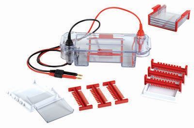 100-Sample Horizontal Gel System, Including 8x10.5cm Gel Tray, 6 PCS of 0.75mm 17-Tooth Combs and 6 PCS of 1.5mm 17-Tooth Combs, Casting Tray, 250V. 100-Sample Horizontal Gel System, Including 8x10.5cm Gel Tray, 6 PCS of 0.75mm 17-Tooth Combs and 6 PCS of 1.5mm 17-Tooth Combs, Casting Tray, 250V.