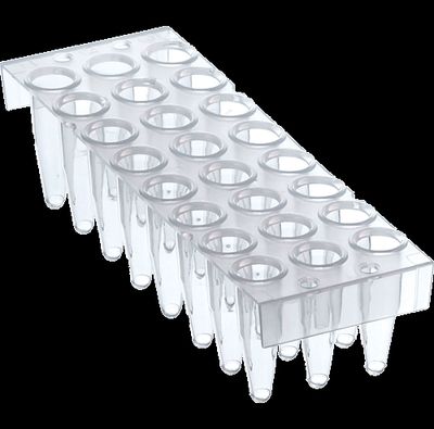 DBio 24-Well (3 x 8) PCR Plates, Semi-Skirted, 50 Plates (SP-0035)