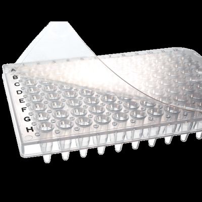 DBio Adhesive Clear Seals for PCR Applications, 100 Sheets DBio Adhesive Clear Seals for PCR Applications, 100 Sheets