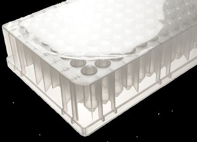 DBio Adhesive Clear Plate Seals, General Use, 100 Sheets