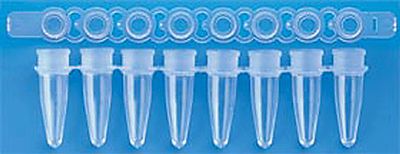 DBio 0.2 ml 8-Strip Natural Tubes with Optically Clear Flat Cap, 120 Strips of 8 Tubes and Caps
