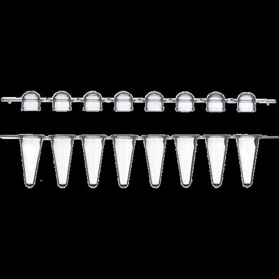 DBio 0.2ml 8-Strip Low-Profile Tubes and Domed Cap, 120 Strips of 8 Tubes and Caps