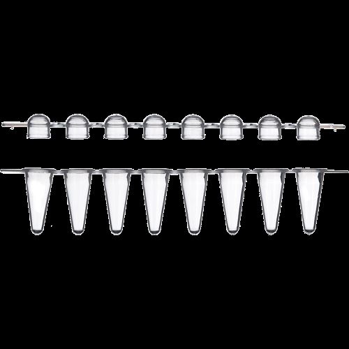 DBio 0.2ml 8-Strip Low-Profile Tubes and Domed Cap, 120 Strips of 8 Tubes and Caps