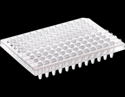 DBio 12 Strip Caps, Domed, 80 Strips of 12 Caps