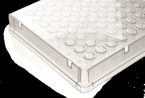 DBio Optically Clear Seals, 50 Sheets