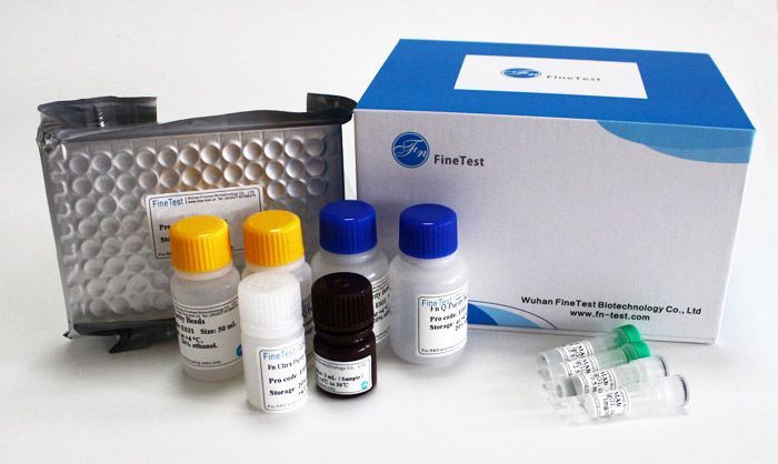 Human ACTH/Corticotropin ELISA Kit, one 96 well plate (EH1067)