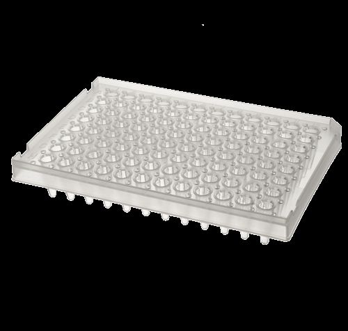 DBio 96 Well PCR Plate, Semi-Skirted, Raised Deck, 25 Plates (SP-0446)