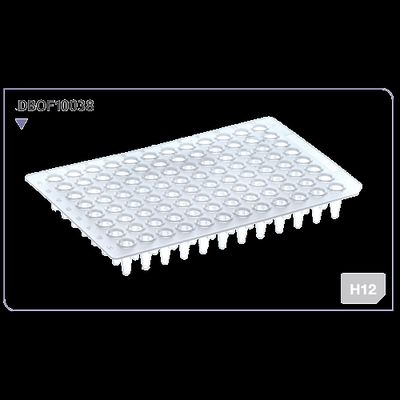 DBio 96 Well PCR Plate, Non-Skirted, Low Profile, 25 Plates (SP-0029)