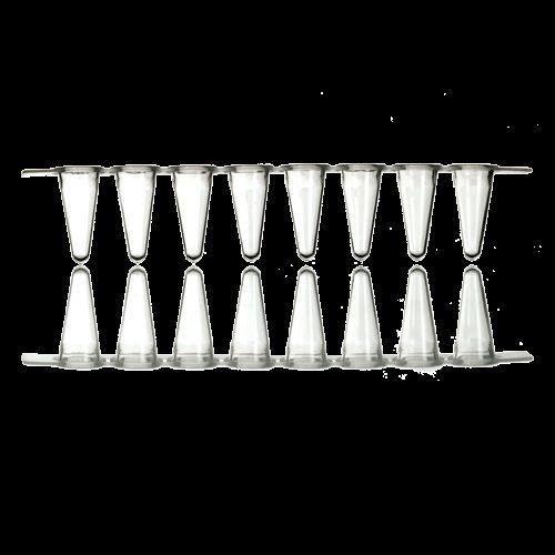 DBio 0.2 ml 8-Strip Low Profile Tubes, 120 Strips of 8 Tubes