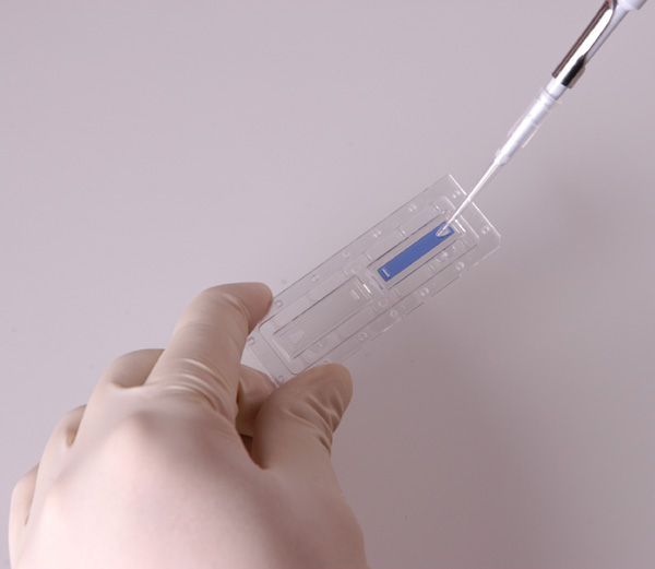 Yeast Viability Kit, 2x500 µl (F23202) (LGBD10013)