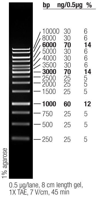 1Kb DNA Ladder 14 bands pre-mixed with loading buffer: 250, 500, 750, 1000, 1500, 2000, 2500, 3000, 3500, 4000, 5000, 6000, 8000 and 10000bp. 250ul, MEIP90301