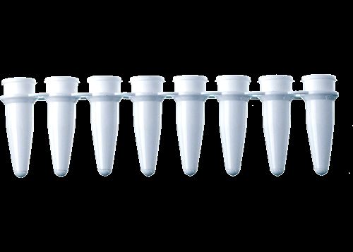DBio 0.2 ml 8-Strip White Tubes with Optically Clear Flat Cap, 120 Strips of 8 Tubes and Caps