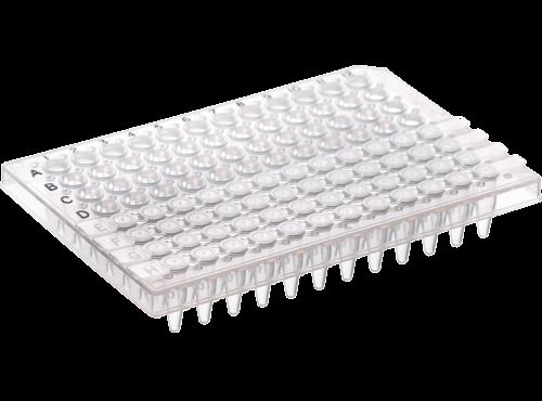 DBio 12 Strip Caps, Flat, 80 Strips of 12 Caps