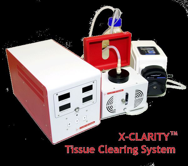 X-CLARITY™ Electrophoretic Tissue Clearing (ETC) System