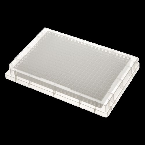 DBio 384 well 120 ul Storage Plate, PP, Square Well, Pyramidal Btm, 50 Plates