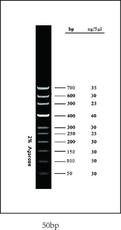 50bp DNA Ladder 10 bands pre-mixed with loading buffer: 50, 100, 150, 200, 250, 300, 400, 500, 600, and 700bp. 5x250ul, MEIP90502
