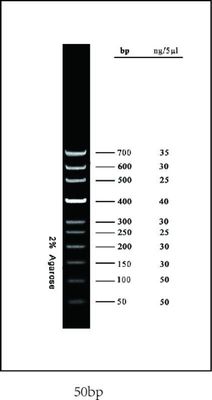 50bp DNA Ladder 10 bands pre-mixed with loading buffer: 50, 100, 150, 200, 250, 300, 400, 500, 600, and 700bp. 5x250ul, MEIP90502