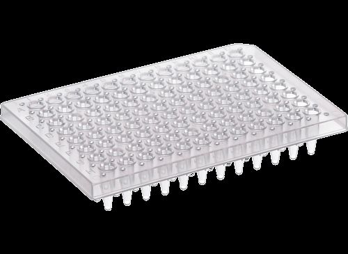 DBio 96 Well PCR Plate, Semi-Skirted, Flat Deck, 25 Plates (SP-0824)