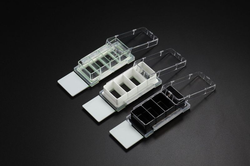 Cell Culture Chamber Slides, 4 well w/glass slide, Clear, 2.13 cm2, 0.5-1.3ml, 6/pk