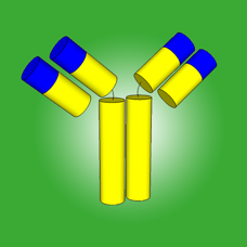 Anti-Rab-4A Rabbit Polyclonal Antibody, 100 µl (21158)