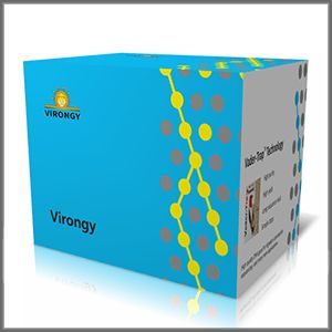 Vader-­Trap High-­Purity Plasmid DNA Purification Kit