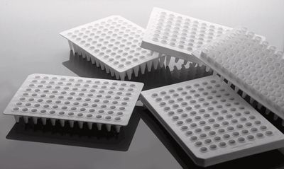 Nest 0.1ml 96 Well PCR Plate, No Skirt, White, H12 notch, 100/cs, (402111) Nest 0.1ml 96 Well PCR Plate, No Skirt, White, H12 notch, 100/cs, (402111)