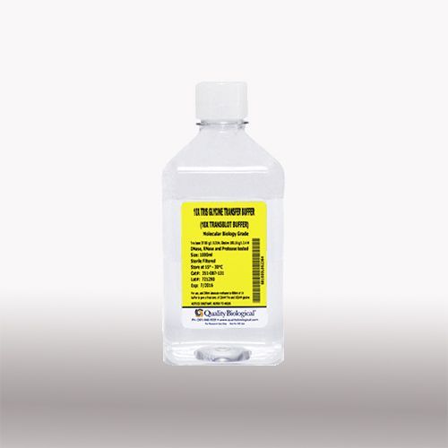 10XTris Glycine Trans Buffer 1L, (351-087-131)