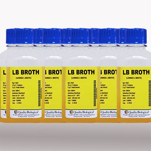 LB Broth (Lennox) CS10X500ML, (340-016-101CS)
