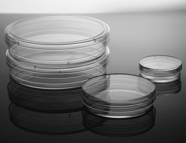 60mm Petri Dish, sterile, 20/pk, 500/cs, (754001) 60mm Petri Dish, sterile, 20/pk, 500/cs, (754001)
