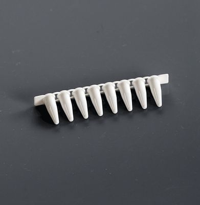 0.1ml PCR 8-strip Tubes, White, 120/pk, 1200/cs, (403111) 0.1ml PCR 8-strip Tubes, White, 120/pk, 1200/cs, (403111)