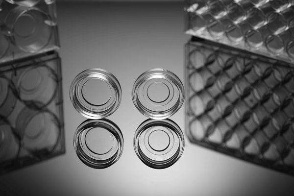 Glass Bottom Cell Culture Dish,Φ 15mm, TC, sterile 200/cs, (801002) (NSTF90055)