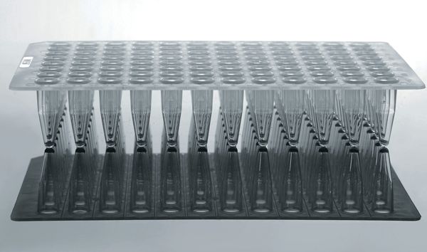 0.2ml 96 Well PCR Plate, No Skirt, Clear, H1 notch, 25/pk, 100/cs, (402001)
