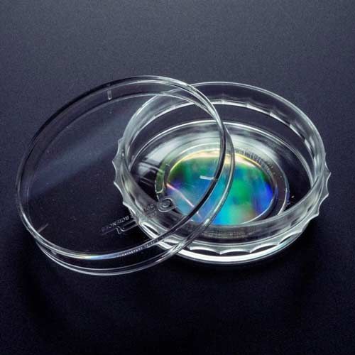 NanoSurface ANFS 35mm Cell Culture Dish, ANFS nano surface, sterile, 10, 30 or 50 dishes/pack