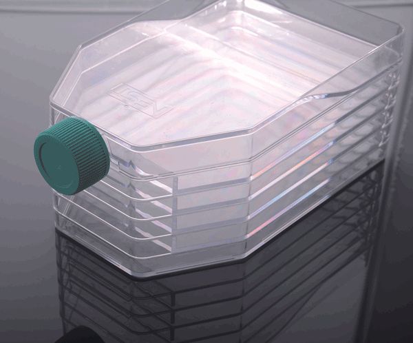 5-Layer Cell Culture Flask, Plug Seal Cap, Straight Neck, TC, sterile ,8/cs, (731001) (NSTF90039)