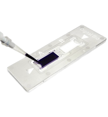 C-Slide, Cell Counting Champer Slides, 500Slides (1000 Tests). Fully Compatible with Countess™, Countess™ II, and Countess™ II FL (CS-0500)