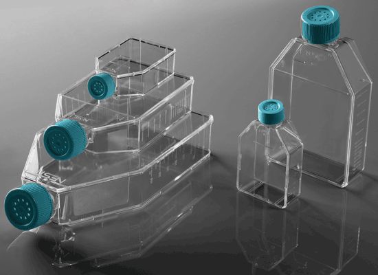 225cm2 Cell Culture Flask, Plug Seal Cap, Non-Treated, sterile, 25/cs, (721011) (NSTF90034)