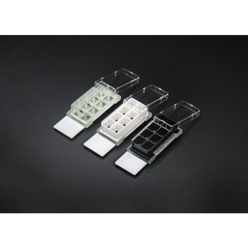 Cell Culture Chamber Slides, 8 well w/glass slide, White, 0.98 cm2, 0.2-0.6ml, 6/pk