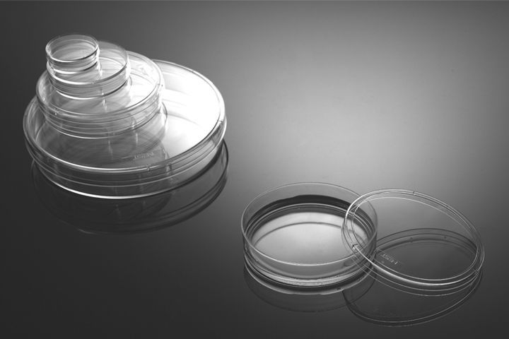 35mm Cell Culture Dish, with Gripping Ring, TC, Sterile, 20/pk, 500/cs (706201) NSTF90181