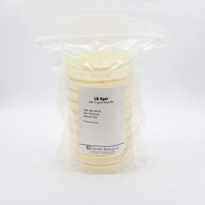LB Agar Plates with 34µg/ml Chloramphenicol, 50µg/ml Ampicillin CS100X25ml, (340-247-231)