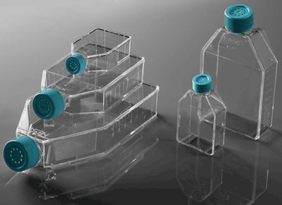 75cm2 Cell Culture Flask, Plug Seal Cap, Non-Treated, sterile ,100/cs, (708011) (NSTF90032)