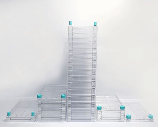 Nest BioFactory 1 Chamber; Narrow Mouth; Total culture area: 647cm; 2TC; sterile, 8/cs, (772001) (NSTF90045)