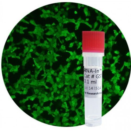 mRNA-In™ Stem, Stem Cell Specific mRNA Transfection Reagent - Various Sizes