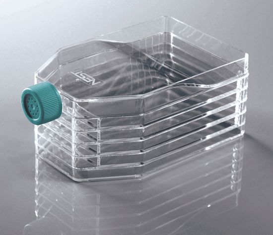 5-Layer Cell Culture Flask, Vent Cap, Straight Neck, TC, sterile ,8/cs, (731002) (NSTF90040)