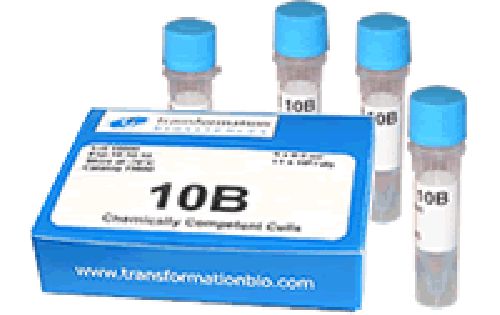 TFB 10B™ Chemically Competent Cells - 5 x 0.2 ml (73630)